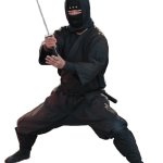 Ninja swordsman