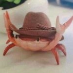 Cowboy crab