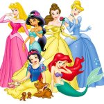Aurora Jasmine Belle Cinderella Snow White and Ariel