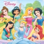 Belle Jasmine Aurora Snow White Mulan Cinderella and Ariel