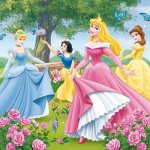 Disney Princesses