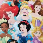 Disney Princesses Poster