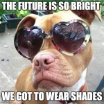 Future so bright gotta wear shades | THE FUTURE IS SO BRIGHT; WE GOT TO WEAR SHADES | image tagged in future so bright gotta wear shades | made w/ Imgflip meme maker