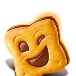 Le BN cookie
