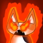 Catto Boi Rage