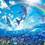 Rainbows and Dolphins