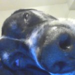 pov when i wake up