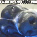 insert title here | WHEN YOU WAKE UP AND TOUCH WARM WATER | image tagged in pov when i wake up | made w/ Imgflip meme maker