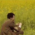 bean GIF Template