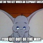 Daily Bad Dad Joke August 11, 2025 | WHAT DO YOU GET WHEN AN ELEPHANT SNEEZES? YOU GET OUT OF THE WAY. | image tagged in dumbo | made w/ Imgflip meme maker