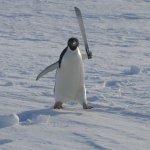 Pinguim