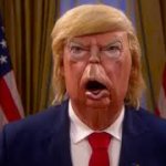 Orange p e d o