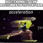 Flies be like | INSECTS NORMALLY: *SLOW*

INSECTS WHEN YOU TRY TO HIT THEM: | image tagged in acceleration yes,flies,memes,funny,relatable,annoying | made w/ Imgflip meme maker