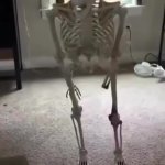 ?? GIF Template
