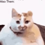 . | image tagged in gifs,memes,funny,funny memes | made w/ Imgflip video-to-gif maker