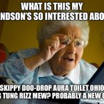 What | WHAT IS THIS MY GRANDSON’S SO INTERESTED ABOUT? SKIPPY DOO-DROP AURA TOILET OHIO TUNG TUNG RIZZ MEW? PROBABLY A NEW GAME | image tagged in memes,grandma finds the internet | made w/ Imgflip meme maker