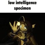 Low intelligence specimen GIF Template