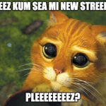 M | PLEEZ KUM SEA MI NEW STREEM? PLEEEEEEEEZ? | image tagged in puss in boots | made w/ Imgflip meme maker