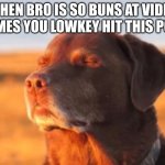 But he somehow becomes the best player known to man for like 6 seconds | WHEN BRO IS SO BUNS AT VIDEO GAMES YOU LOWKEY HIT THIS POSE | image tagged in dog accepting fate,videogames,funny,relatable | made w/ Imgflip meme maker
