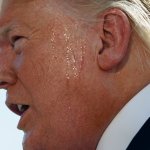 Sweaty Trump Orange