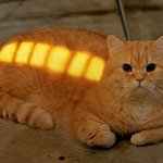 charged cat meme