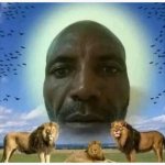 Bald lions