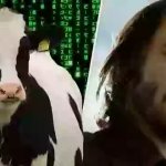cow matrix