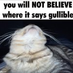 you will not BELIEVE where it says gullible