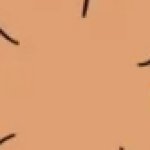 eyes