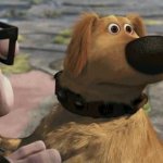 Attention Span Dog GIF Template