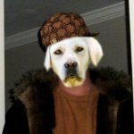 Dbag Doggo