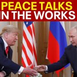 trump meme