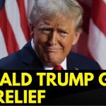 trump meme