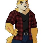 Flannel furry