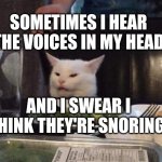 Smudge that darn cat | SOMETIMES I HEAR THE VOICES IN MY HEAD; AND I SWEAR I THINK THEY'RE SNORING | image tagged in smudge that darn cat | made w/ Imgflip meme maker
