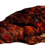 SMLWiki Flesh