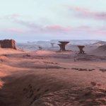 Tail Desert ?️?️