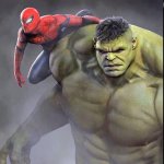 Hulk call Spidey