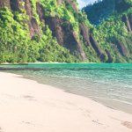 The Beach Island