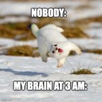 Hapi stoat | NOBODY:; MY BRAIN AT 3 AM: | image tagged in 3am | made w/ Imgflip meme maker