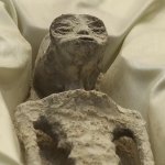 alien ded