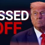 trump meme
