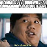 My dog does this | WHAT SMALL DOGS THINK WILL HAPPEN IF THEY DON'T BARK AT ABSOLUTELY NOTHING: | image tagged in we're all gonna die,annoying,memes,funny,dogs,relatable | made w/ Imgflip meme maker