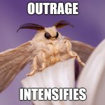 outrage intensifies | OUTRAGE; INTENSIFIES | image tagged in outraged moth | made w/ Imgflip meme maker