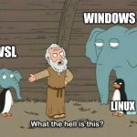 Windows + linux wsl | WINDOWS; WSL; LINUX | image tagged in elephant penguin meme | made w/ Imgflip meme maker