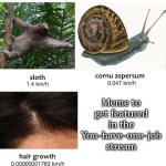 Maybe it's just me, but my meme hasn't get featured in You-have-one-job stream in 5 days. | Meme to get featured in the You-have-one-job stream | image tagged in slowest things,you had one job | made w/ Imgflip meme maker