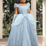 Amazon.com: Fun Costumes Disney Premium Cinderella Dress for Wom