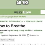 how to breathe | AH YES | image tagged in how to breathe wikihow | made w/ Imgflip meme maker