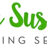 Lazy Susan's Cleaning Service