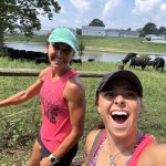 Frisky Cows